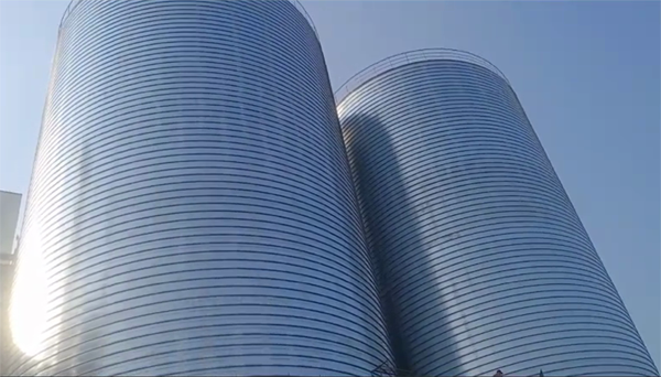 庄浪2座混凝土高架卷板仓